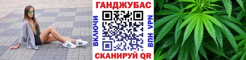 Канабис OG Kush  Черноголовка 
